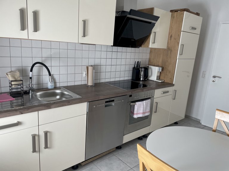 Spüle, Spülmaschine, Herd mit Induktionskochfeld